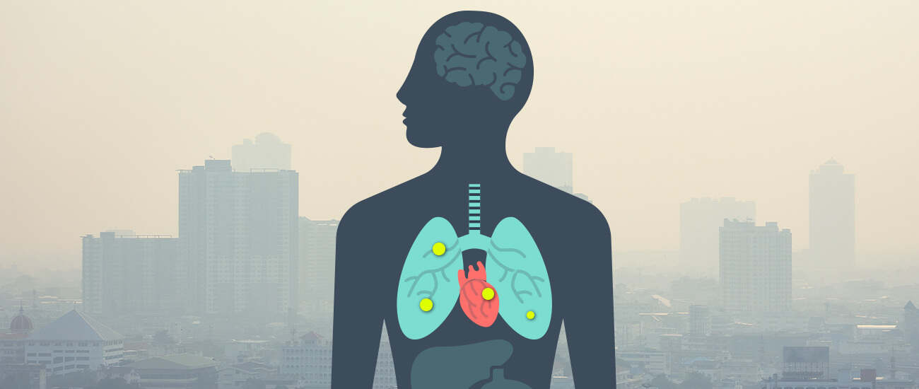 PM2.5 particles are easily penetrable in the respiratory system and have adverse affects on human health