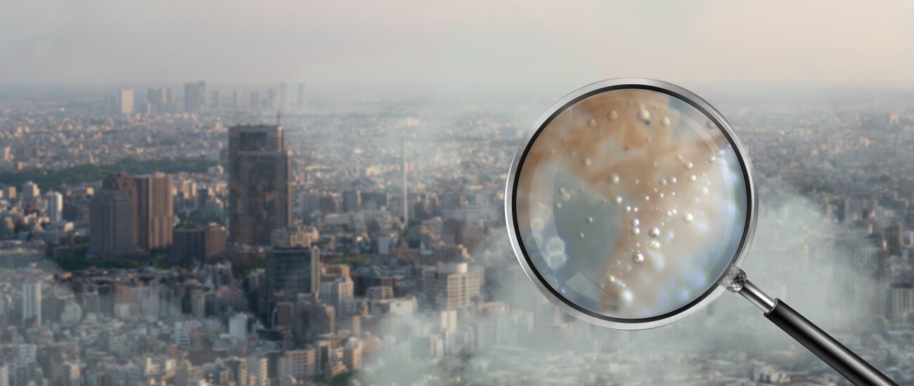 PM or Particulate Matter in the urban environment