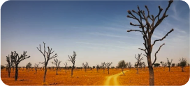  Image showing hot weather