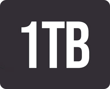 Up to 1TB Storage